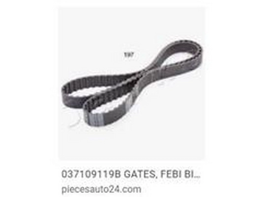 Timing Belt (037 109 119 B)