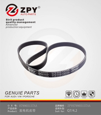 V-Ribbed Belt (079 903 137AA)