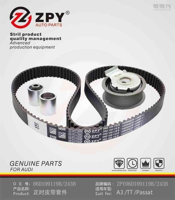 Timing Belt (06D 109 119B)