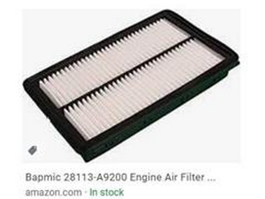 Air Filter (28113-A9200)