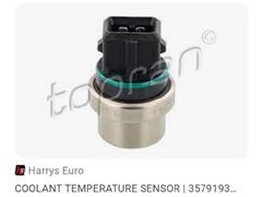Temperature Switch, radiator fan (357919369F)