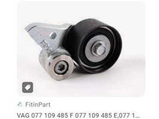 Timing Belt Kit (077 109 485 F)