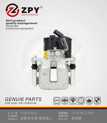 Guide Sleeve Kit, brake caliper (3C0 615 403C)