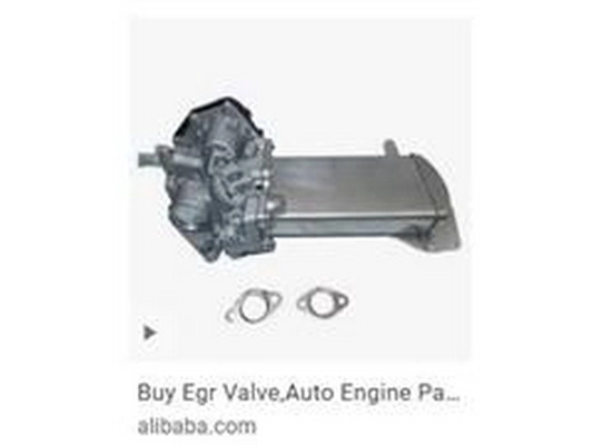 EGR Valve (03L 131 512DL)
