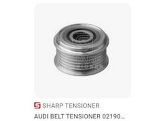 Alternator Freewheel Clutch (028903119AM)