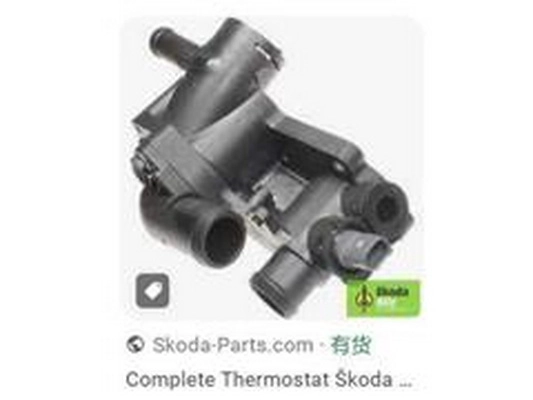Thermostat, coolant (032121111CG)