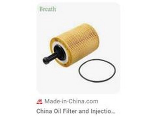 Oil Filter (071115562)