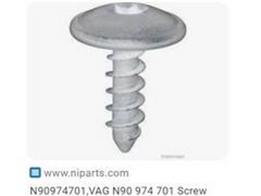 Screw (N90 974 701)