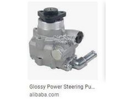 Hydraulic Pump, steering (2E0 422 145 B)