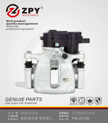 Guide Sleeve Kit, brake caliper (8K0 615 403E)