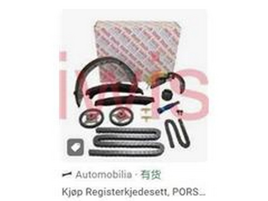 Timing Chain (946 105 169 75)