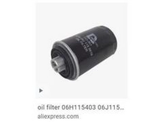Oil Filter (06J115403J)