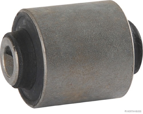 Mounting, control/trailing arm (J4205301)