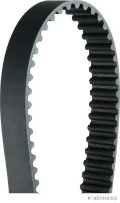 Timing Belt (J1120908)