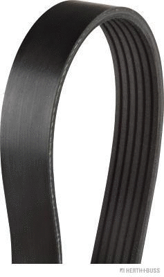 V-Ribbed Belt (J1062334)