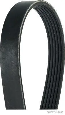 V-Ribbed Belt (J1061220)
