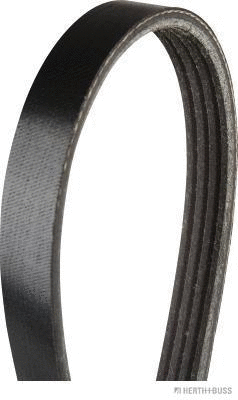 V-Ribbed Belt (J1040806)