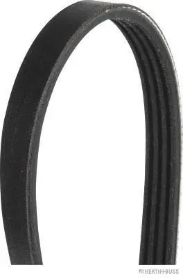 V-Ribbed Belt (J1040773)