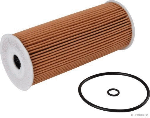 Oil Filter (J1310810)