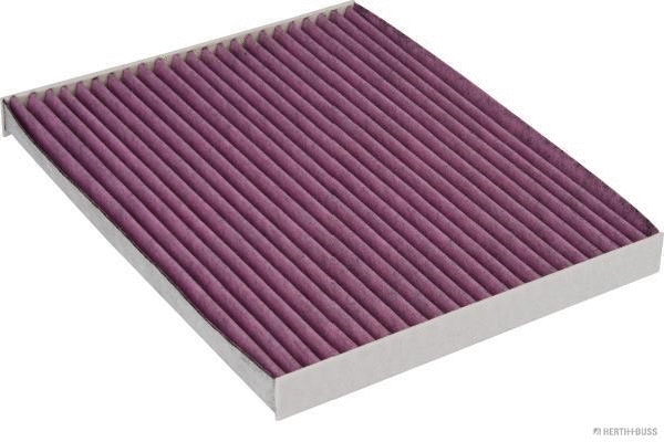 Filter, cabin air (J1340521BF)