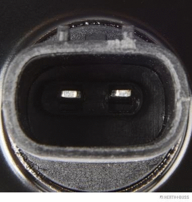 Sensor, wheel speed (J5912029)