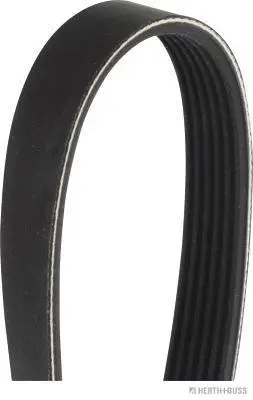 V-Ribbed Belt (J1061320)