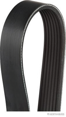 V-Ribbed Belt (J1071458)