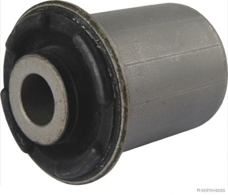 Mounting, control/trailing arm (J4200322)