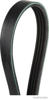 V-Ribbed Belt (J1041540)
