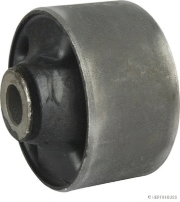 Mounting, control/trailing arm (J4200311)