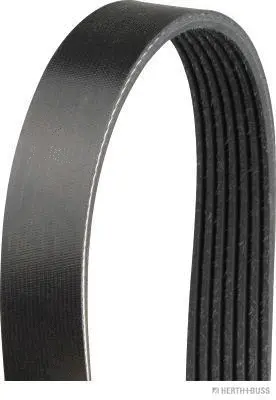 V-Ribbed Belt (J1071705)