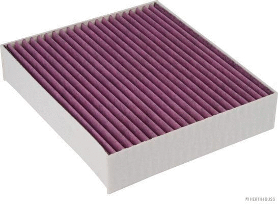 Filter, cabin air (J1345009BF)