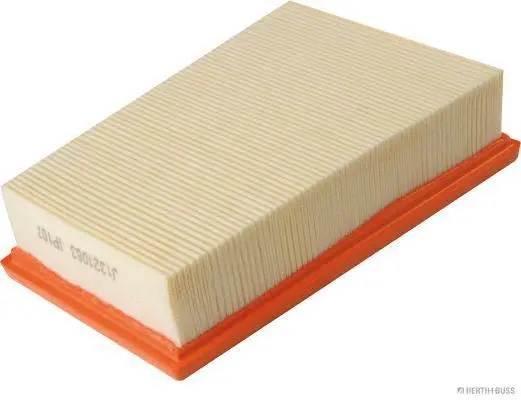 Air Filter (J1321063)