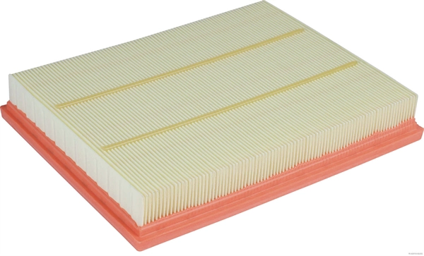 Air Filter (J1320809)