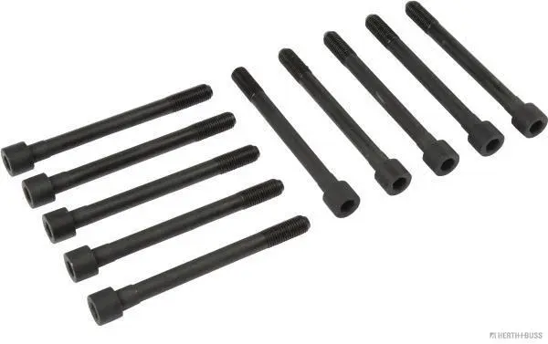 Cylinder Head Bolt Set (J1280500)