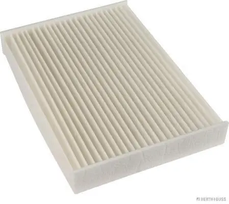 Filter, cabin air (J1341041)
