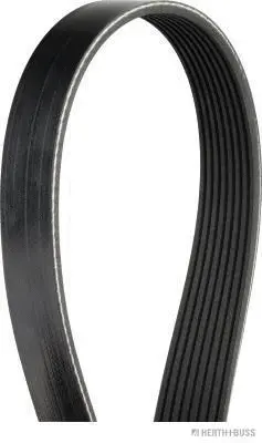 V-Ribbed Belt (J1081172)