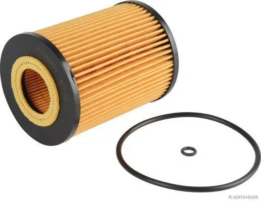 Oil Filter (J1310800)