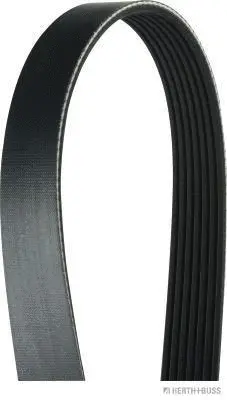 V-Ribbed Belt (J1071685)