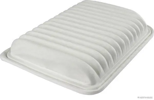 Air Filter (J1325050)