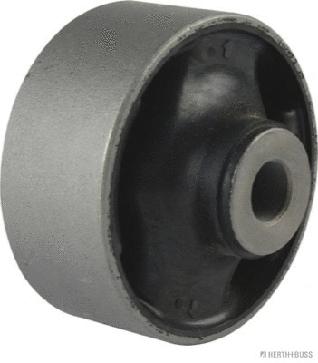 Mounting, control/trailing arm (J4204106)