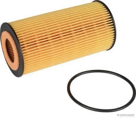 Oil Filter (J1310813)