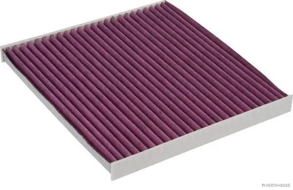 Filter, cabin air (J1342011BF)