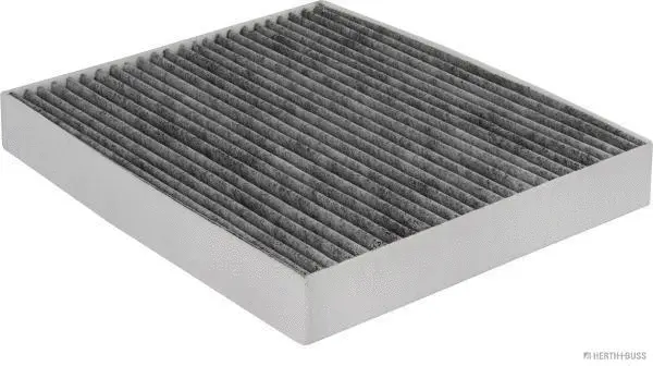 Filter, cabin air (J1340538)