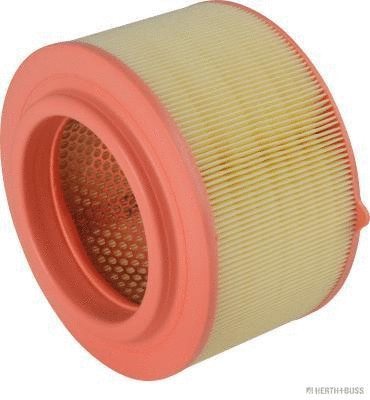 Air Filter (J1323074)