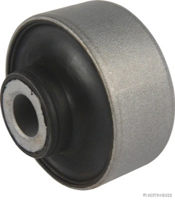 Mounting, control/trailing arm (J4208203)
