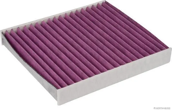 Filter, cabin air (J1342024BF)