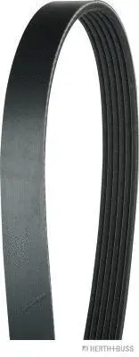 V-Ribbed Belt (J1062070)