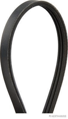 V-Ribbed Belt (J1030823)