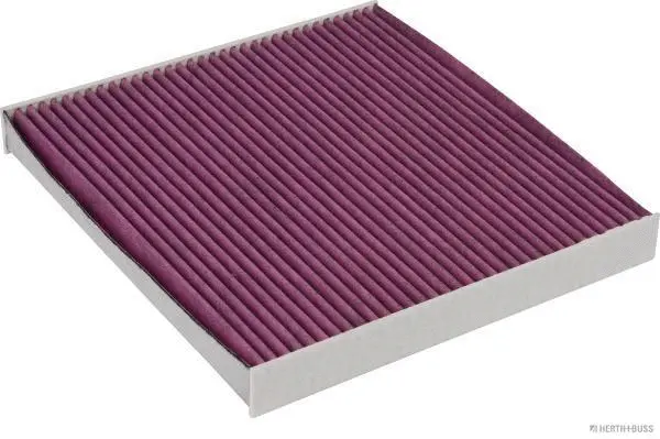 Filter, cabin air (J1343010BF)